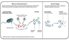 5-Toxid-vaccines-01_100X60_0.png
